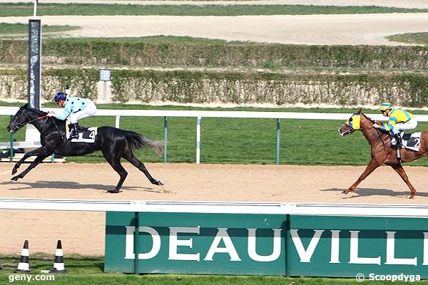 25/03/2011 - Deauville - Prix de la Vie : Arrivée