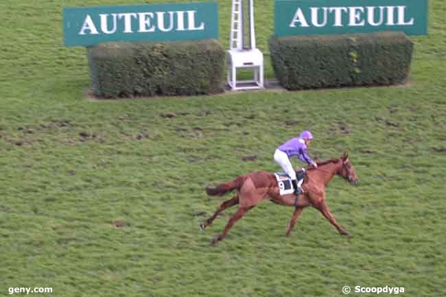 02/12/2011 - Auteuil - Prix Hamilton : Arrivée