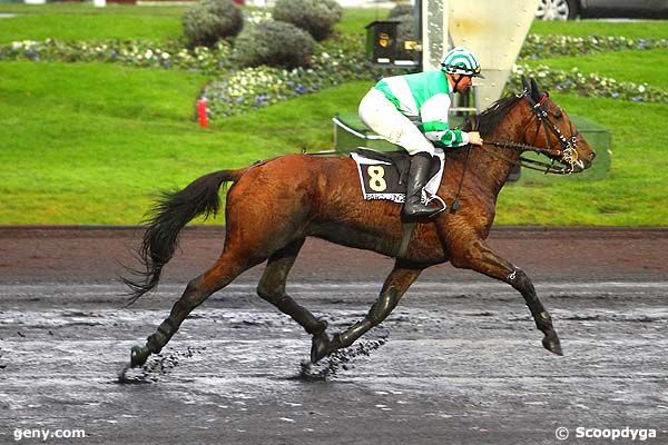 14/12/2012 - Vincennes - Prix du Neubourg : Arrivée