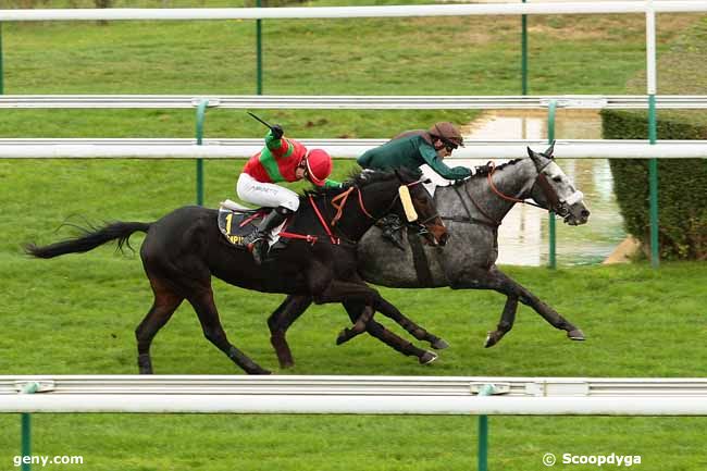 14/11/2015 - Compiègne - Prix du Champ de Mars : Arrivée