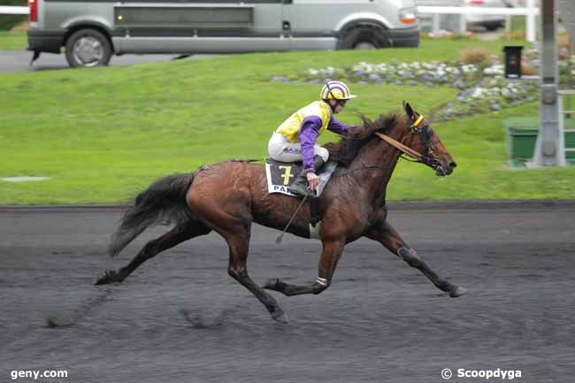 19/11/2015 - Vincennes - Prix de l'Ile d'Oléron : Result