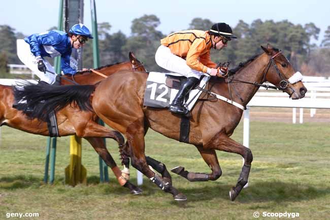 15/03/2016 - Fontainebleau - Prix de Sermaise : Arrivée