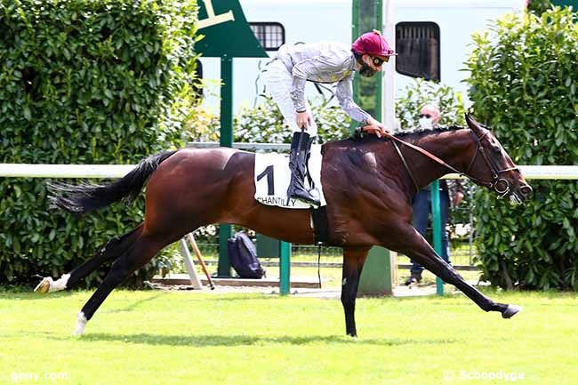 13/05/2020 - Chantilly - Prix Texanita : Arrivée