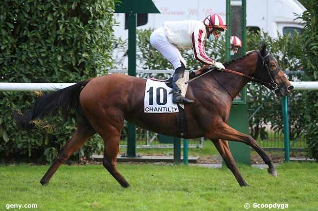 13/10/2020 - Chantilly - Prix du Livre du Roi Modus : Arrivée