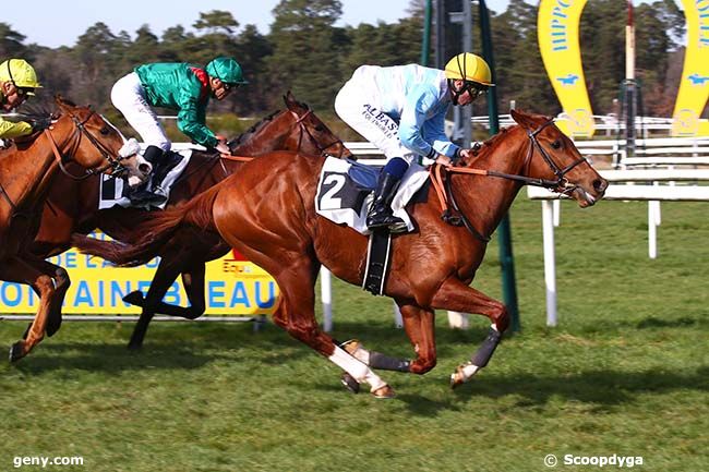 18/03/2022 - Fontainebleau - Prix de la Plaine des Sablons : Arrivée