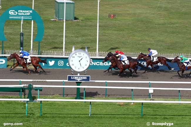 11/10/2023 - Chantilly - Prix de Coye : Arrivée