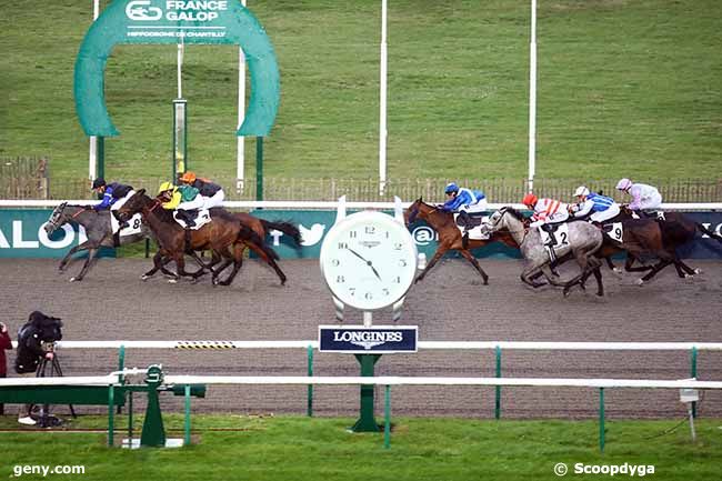 23/02/2024 - Chantilly - Prix du Parc Laversin : Arrivée