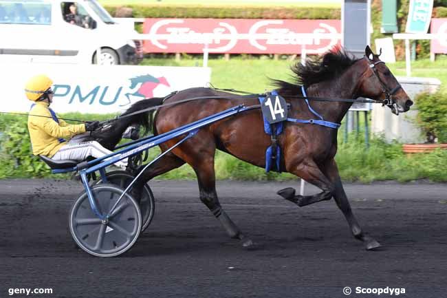 22/05/2024 - Le Croisé-Laroche - Prix de Marcq-en-Baroeul : Arrivée