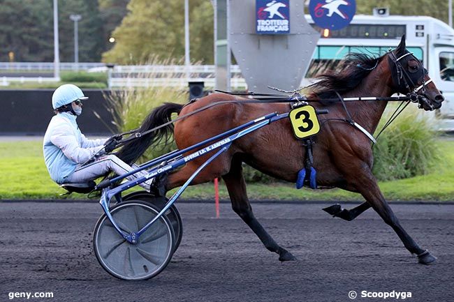 08/10/2024 - Vincennes - Prix Daphné : Arrivée