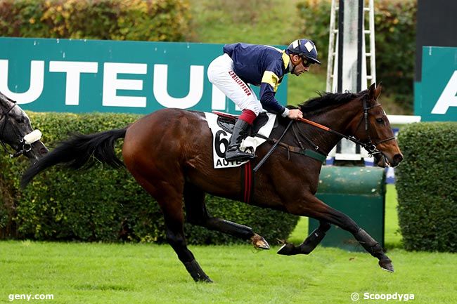 06/11/2024 - Auteuil - Prix Elseneur : Arrivée