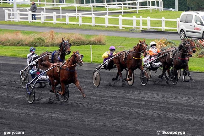 23/01/2025 - Vincennes - Prix de Wolvega : Arrivée