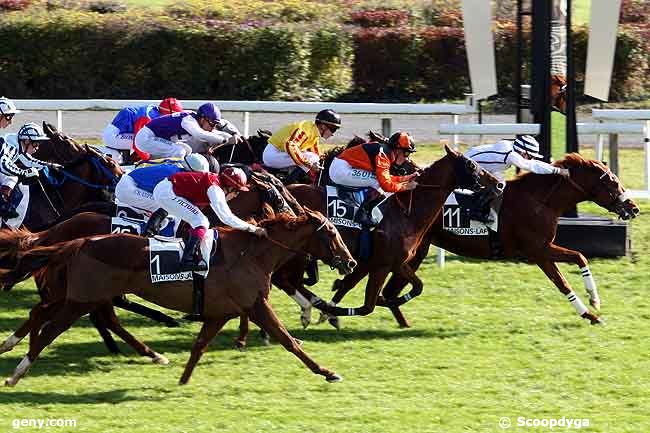 23/10/2008 - Maisons-Laffitte - Prix de la Malivoye : Ankunft