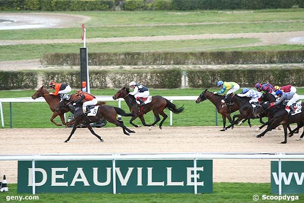 20/12/2008 - Deauville - Prix du Hameau Père : Arrivée