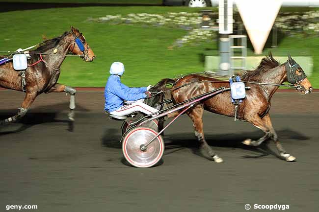 17/11/2009 - Vincennes - Prix Mercator (Gr B) : Arrivée