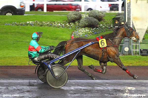 14/12/2012 - Vincennes - Prix de Decize : Arrivée