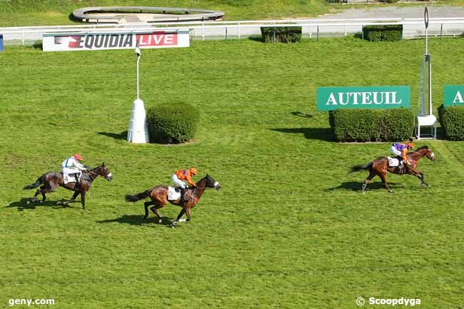 04/05/2016 - Auteuil - Prix Andréa : Ankunft