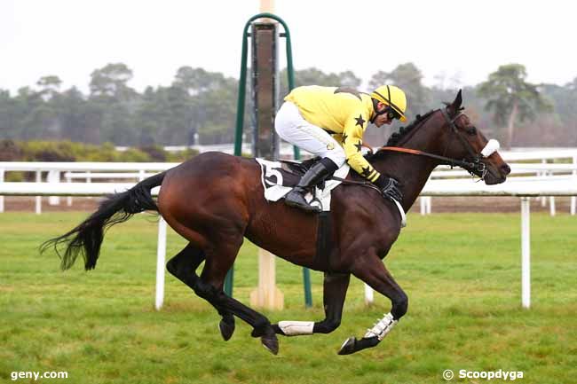 27/11/2018 - Fontainebleau - Grande Course de Haies de Fontainebleau : Arrivée