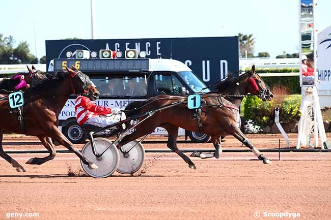 08/03/2020 - Cagnes-sur-Mer - Prix de Livourne : Arrivée