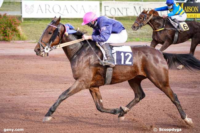 10/11/2020 - Bordeaux-Le Bouscat - Prix Fandango : Arrivée