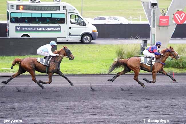 11/12/2020 - Vincennes - Prix de Bidart : Arrivée