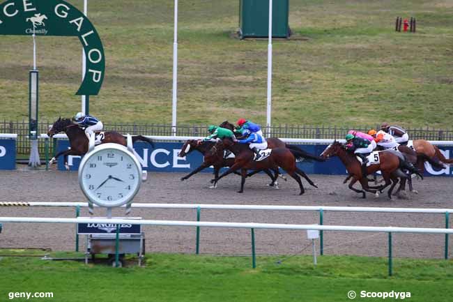 29/01/2021 - Chantilly - Prix de Plailly : Arrivée