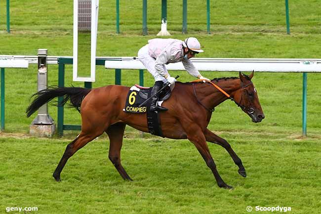 10/07/2021 - Compiègne - Prix du Vivier Frère Robert : Arrivée