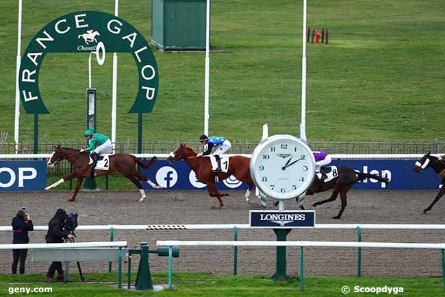 18/11/2022 - Chantilly - Prix du Labyrinthe : Arrivée