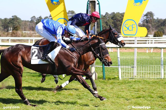 19/04/2023 - Fontainebleau - Prix de la Tour Dénécourt : Arrivée