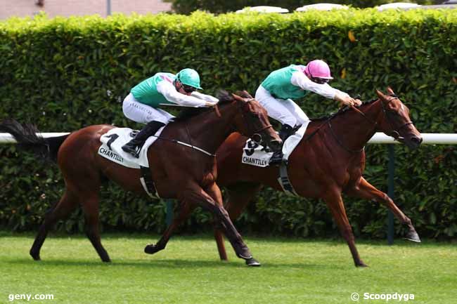 10/07/2023 - Chantilly - Prix de la Verrerie : Ankunft