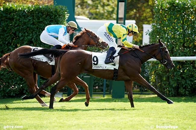 04/10/2023 - Chantilly - Prix de Rully : Result