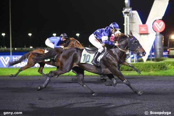 24/10/2023 - Vincennes - Prix Cyane : Arrivée