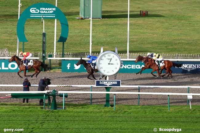 21/11/2023 - Chantilly - Prix de Balivière : Arrivée