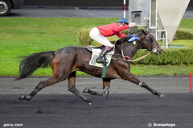 23/11/2023 - Vincennes - Prix Joseph Lafosse : Ankunft