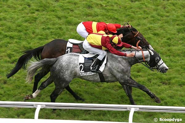 03/06/2008 - Auteuil - Prix Miror : Arrivée