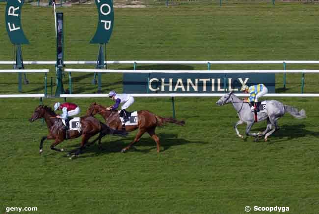 13/10/2008 - Chantilly - Prix de la Courtille : Result