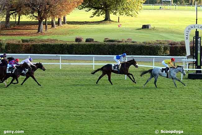 23/10/2008 - Maisons-Laffitte - Prix de Lévis Saint-Nom : Ankunft