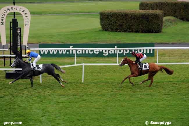 31/10/2008 - Maisons-Laffitte - Prix Féerie : Result