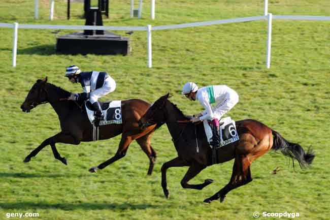 04/11/2008 - Maisons-Laffitte - Prix Urgence : Arrivée