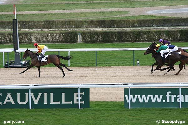 20/12/2008 - Deauville - Prix de la Friche Saint-Vincent : Arrivée