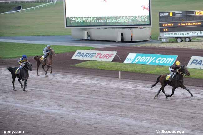 24/11/2010 - Rouen-Mauquenchy - Prix de la Société des Courses de Mauquenchy : Result