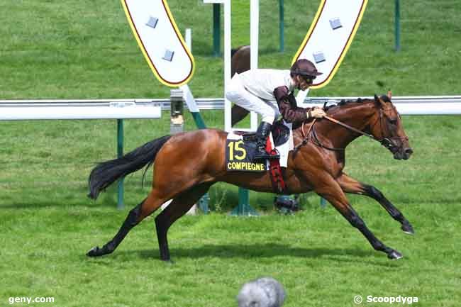 25/07/2011 - Compiègne - Prix du Putois : Ankunft