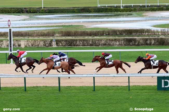 28/12/2012 - Deauville - Prix du Chenet : Result