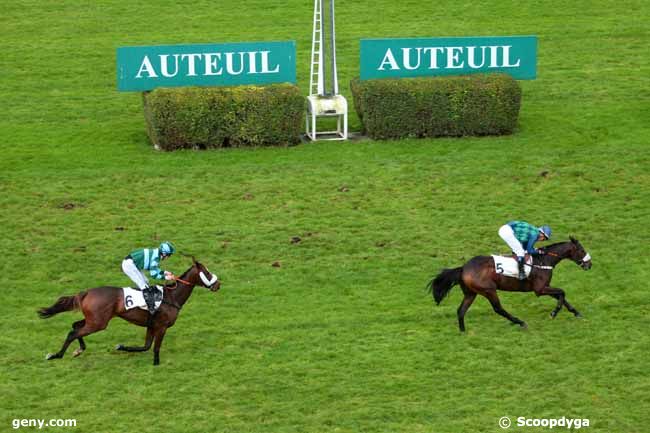 16/11/2014 - Auteuil - Prix Bernard de Dufau : Arrivée