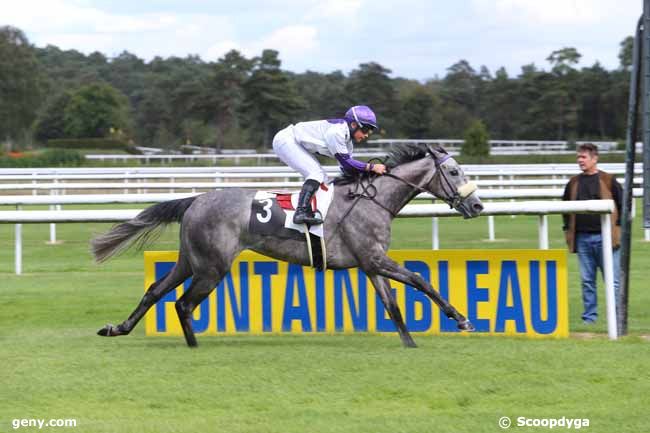 04/09/2015 - Fontainebleau - Prix des Ormes : Result