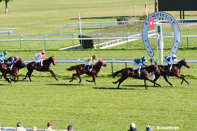 01/10/2015 - Compiègne - Prix des Juniors : Ankunft