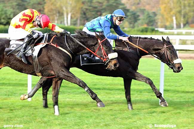 05/11/2015 - Fontainebleau - Prix Colonel Robert Labouche : Result