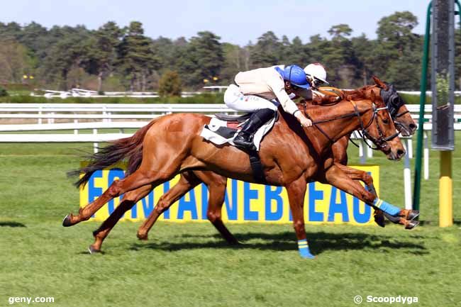 12/04/2017 - Fontainebleau - Prix Colonel Hébrard : Arrivée