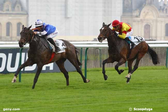 11/05/2019 - Chantilly - Prix de Verneuil-en-Halatte : Ankunft