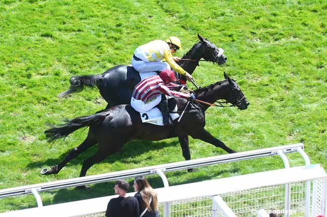 30/04/2022 - Auteuil - Prix de Marsan : Arrivée