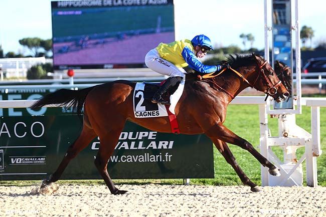 16/01/2023 - Cagnes-sur-Mer - Prix du Petit Juas : Arrivée